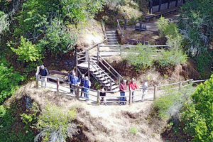 guc-ve-gizemin-kesistigi-bohemian-groveda-skandal-iddialar