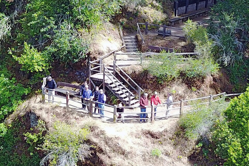 guc-ve-gizemin-kesistigi-bohemian-groveda-skandal-iddialar