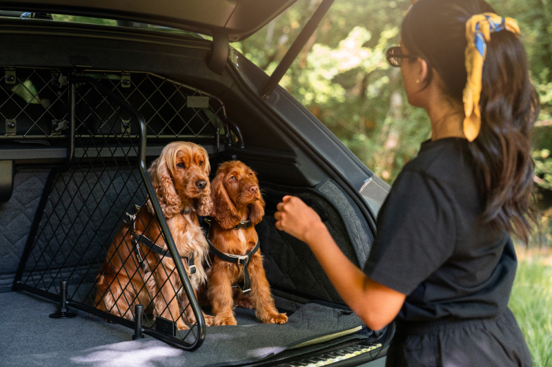 bentley-bentayga-modeline-kopek-aksesuarlari-serisini-getiriyor